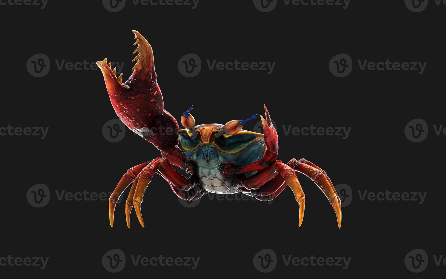 3d Illustration Pose of a Fiddler crab. Red crab isolate on Green background with clipping path. photo