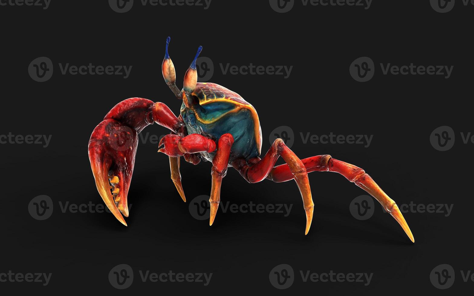 3d Illustration Pose of a Fiddler crab. Red crab isolate on Green background with clipping path. photo