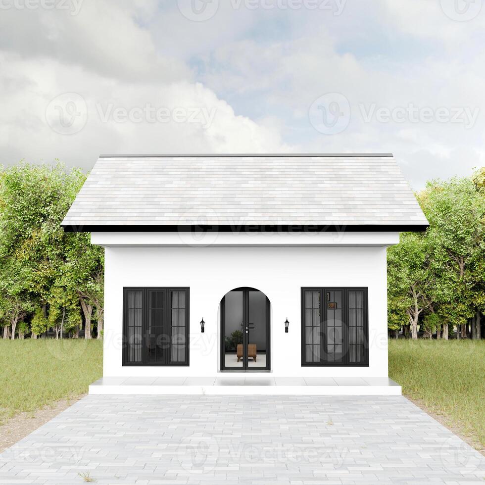 White modern minimalist house with green grass. View into living room. 3D Rendering photo