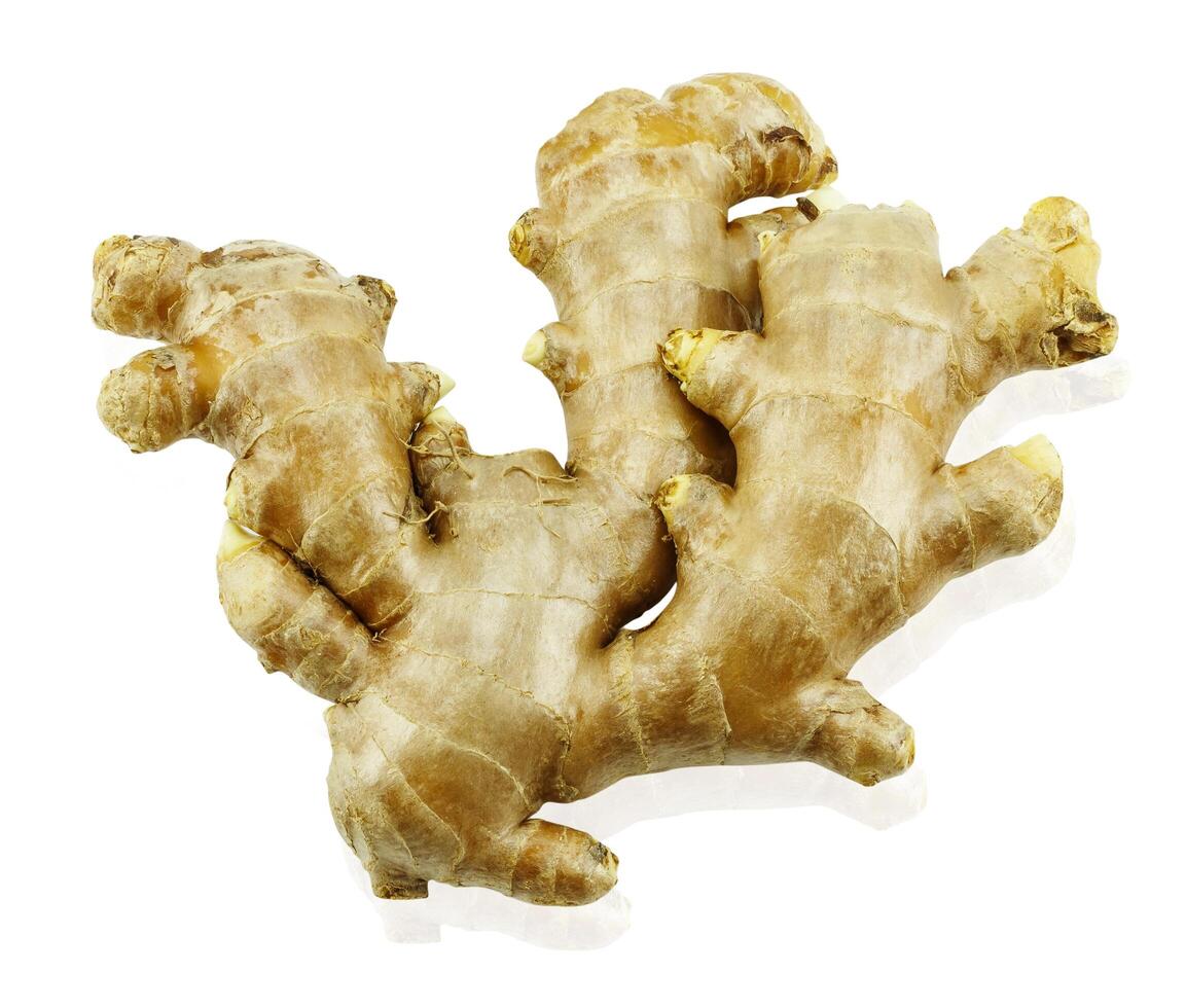 fresh ginger isolated on white background. photo