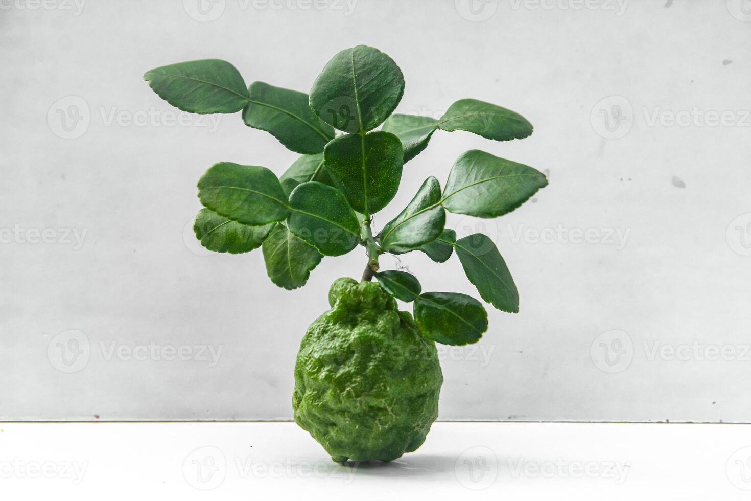 Citrus hystrix or kaffir lime or bergamot sliced fruit and its leaves isolated on white background photo