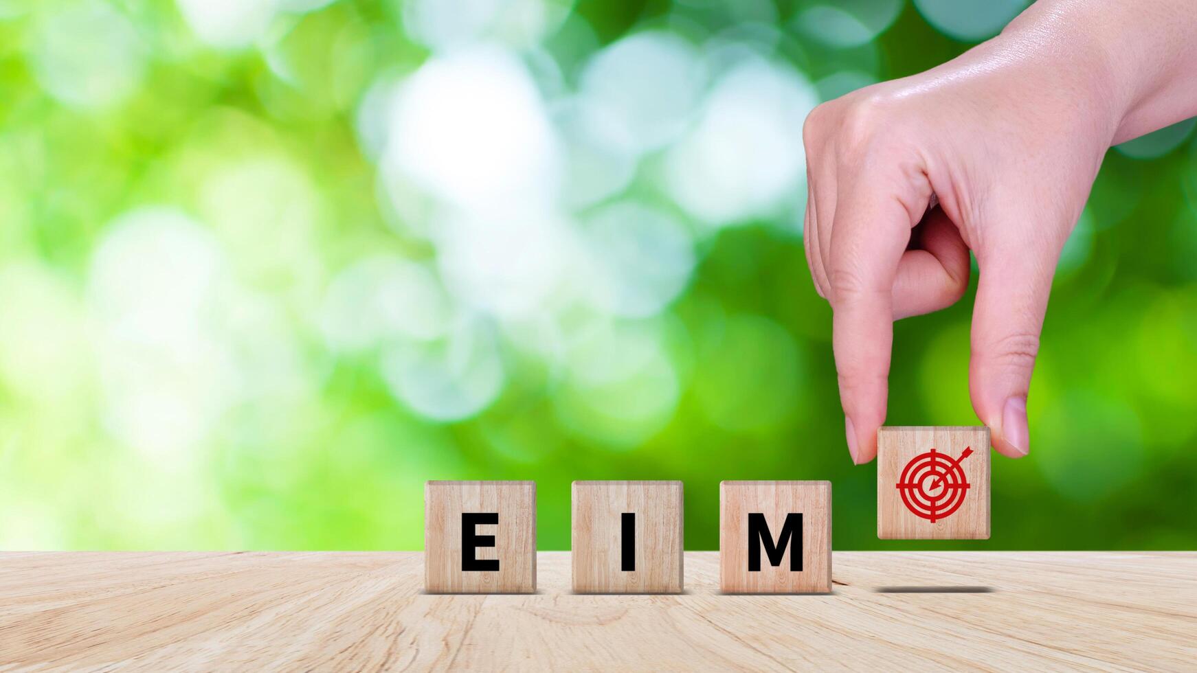 EIM Enterprise information management system on wooden cubes, EIM Global Network with Analyzing Technological Data, Efficient Information Management. photo
