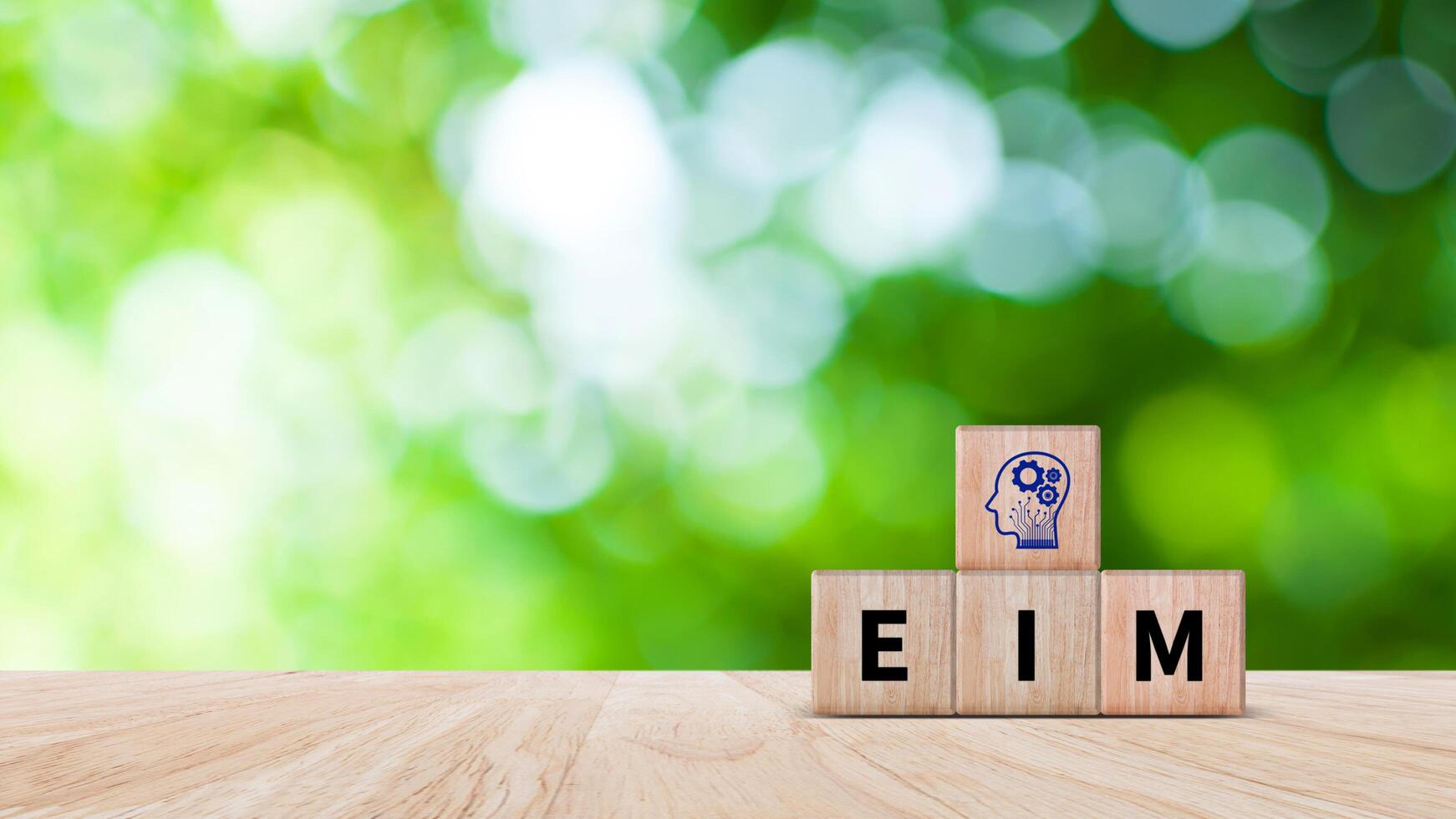 EIM Enterprise information management system on wooden cubes, EIM Global Network with Analyzing Technological Data, Efficient Information Management. photo