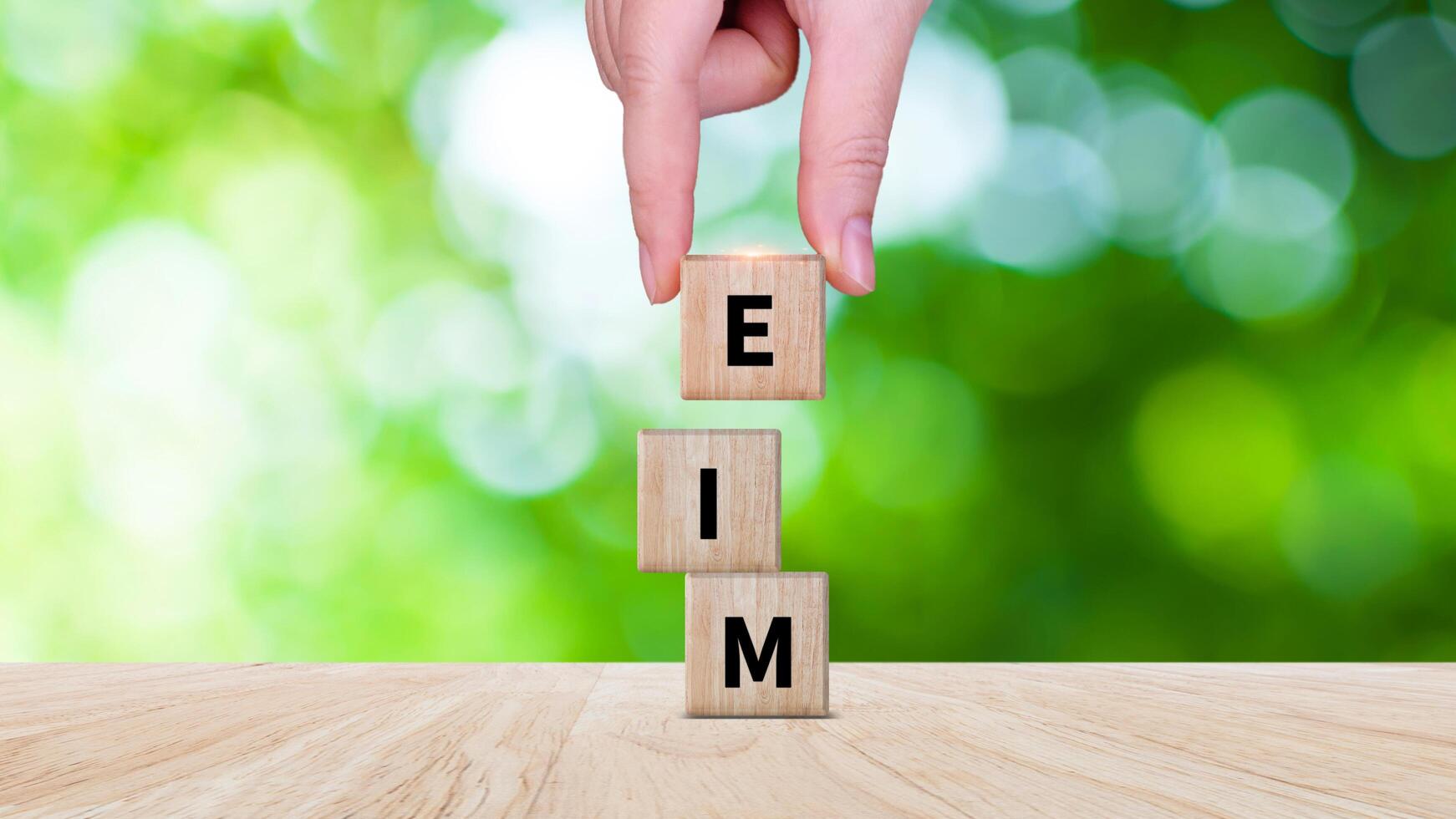 EIM Enterprise information management system on wooden cubes, EIM Global Network with Analyzing Technological Data, Efficient Information Management. photo
