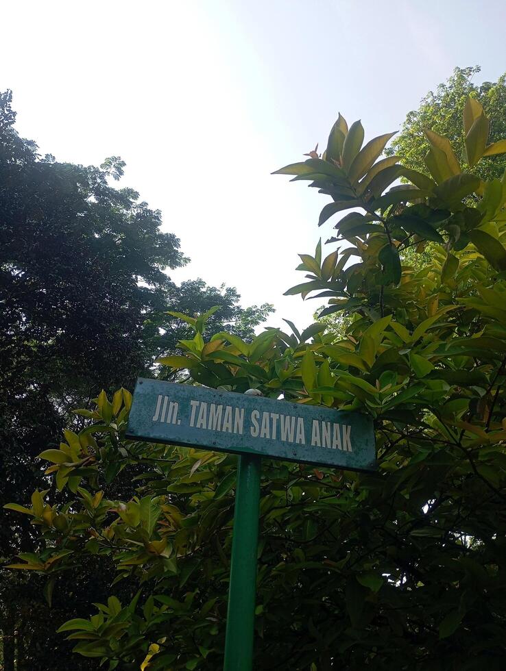 photo of directional taman satwa anak signage in a public area