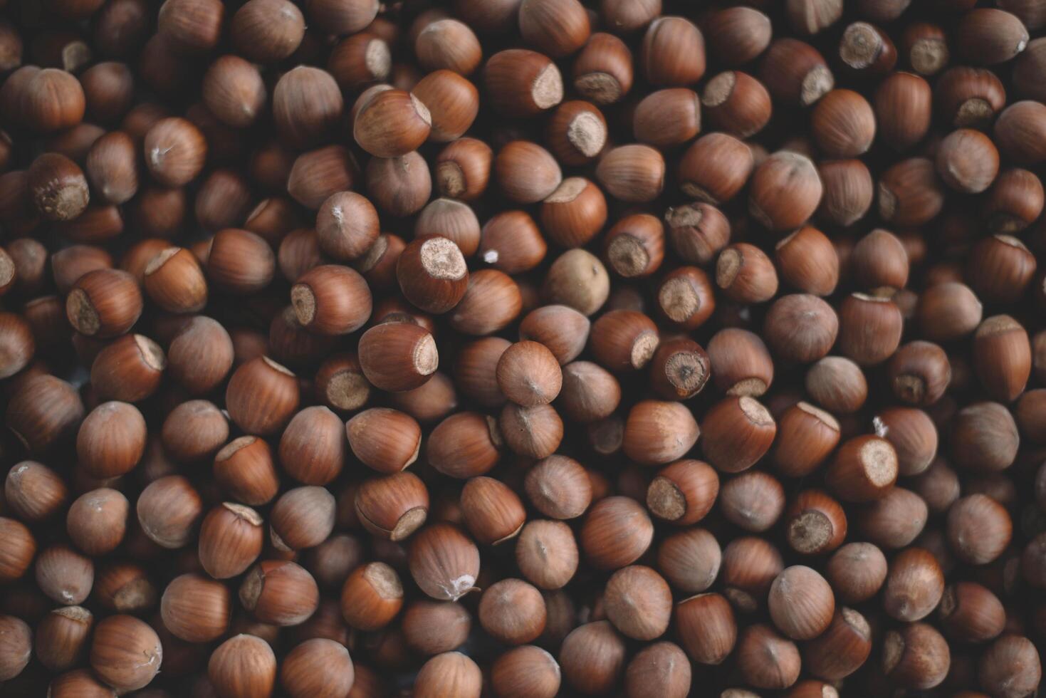 Hazelnuts in a wooden bowl on rustic background, Hazelnut background with green leaf photo