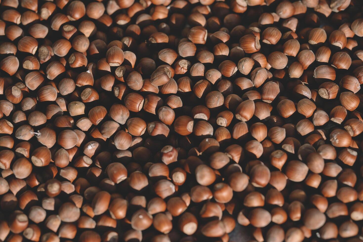 Hazelnuts in a wooden bowl on rustic background, Hazelnut background with green leaf photo