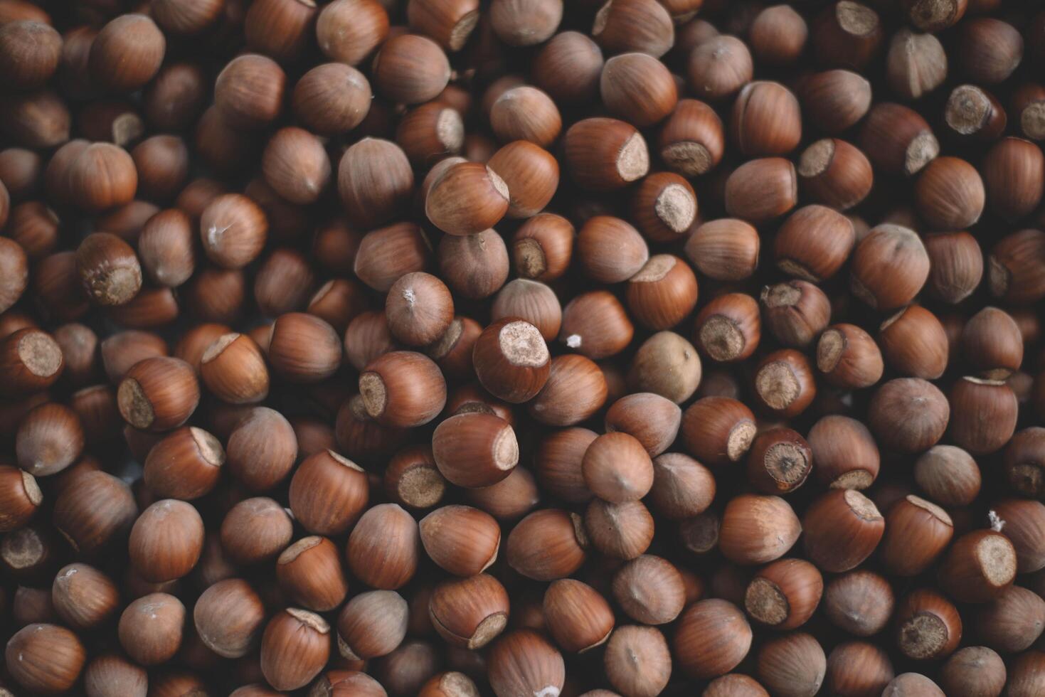 Hazelnuts in a wooden bowl on rustic background, Hazelnut background with green leaf photo