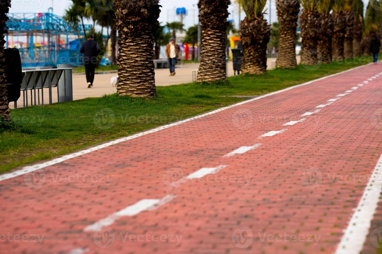 Bicycle walking area, bike path photo