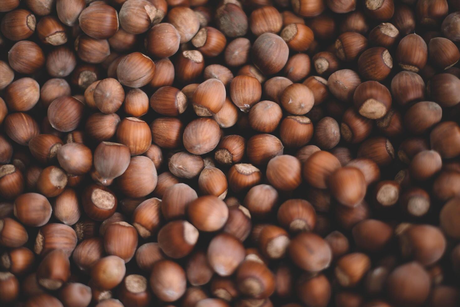 Hazelnuts in a wooden bowl on rustic background, Hazelnut background with green leaf photo