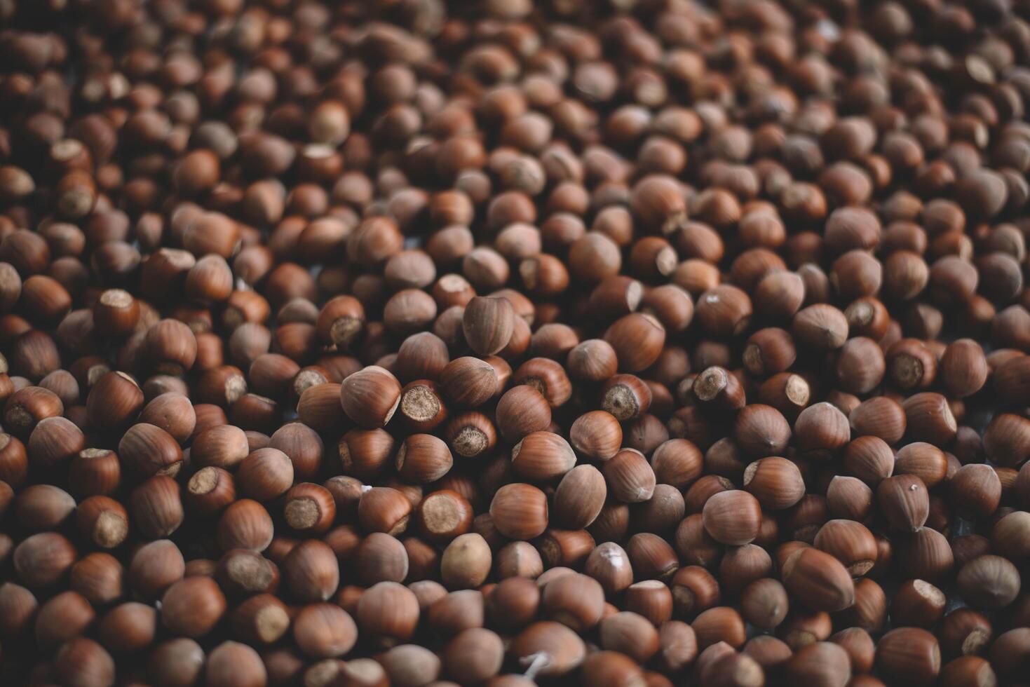 Hazelnuts in a wooden bowl on rustic background, Hazelnut background with green leaf photo
