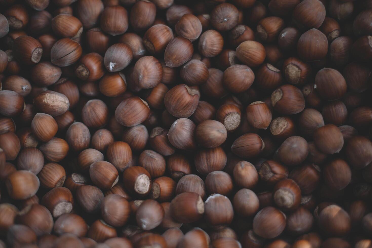 Hazelnuts in a wooden bowl on rustic background, Hazelnut background with green leaf photo