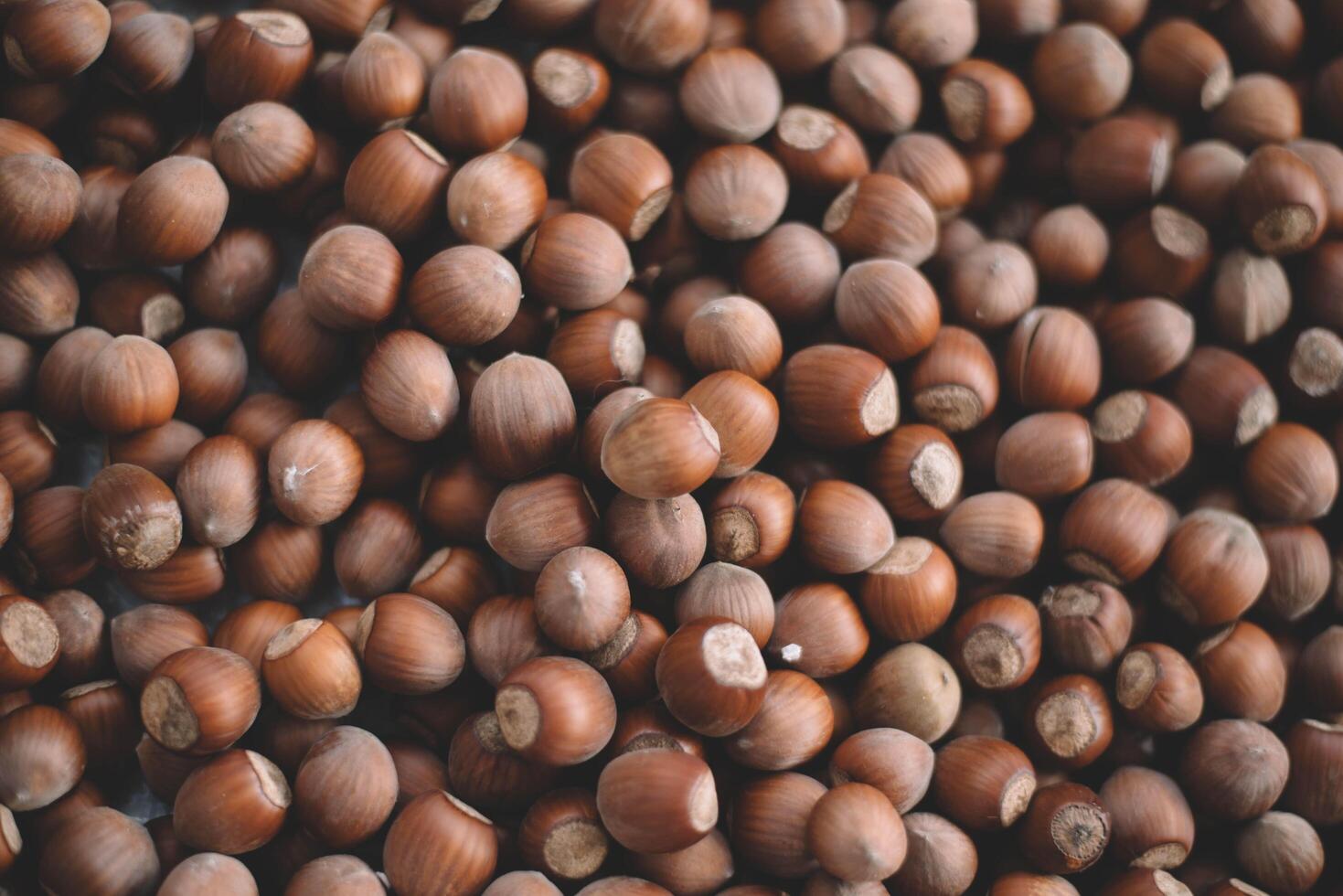 Hazelnuts in a wooden bowl on rustic background, Hazelnut background with green leaf photo
