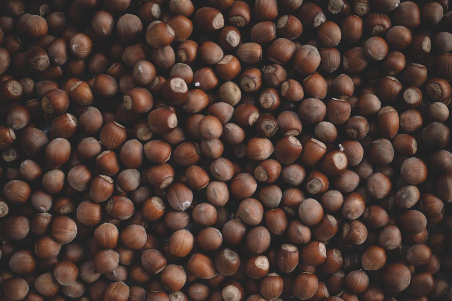 Hazelnuts in a wooden bowl on rustic background, Hazelnut background with green leaf photo