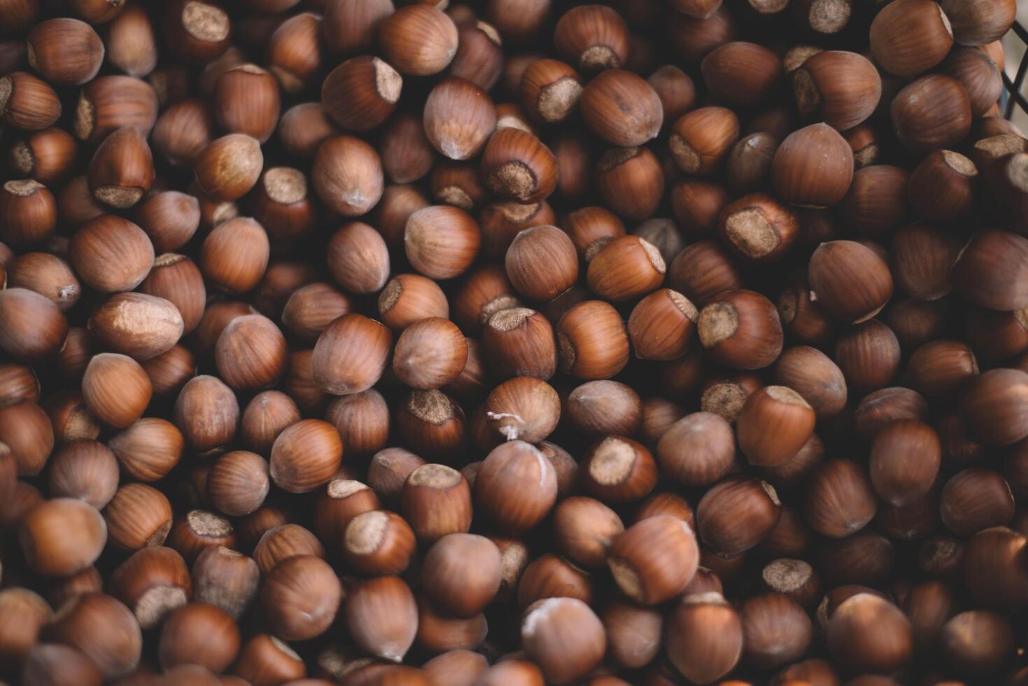 Hazelnuts in a wooden bowl on rustic background, Hazelnut background with green leaf photo