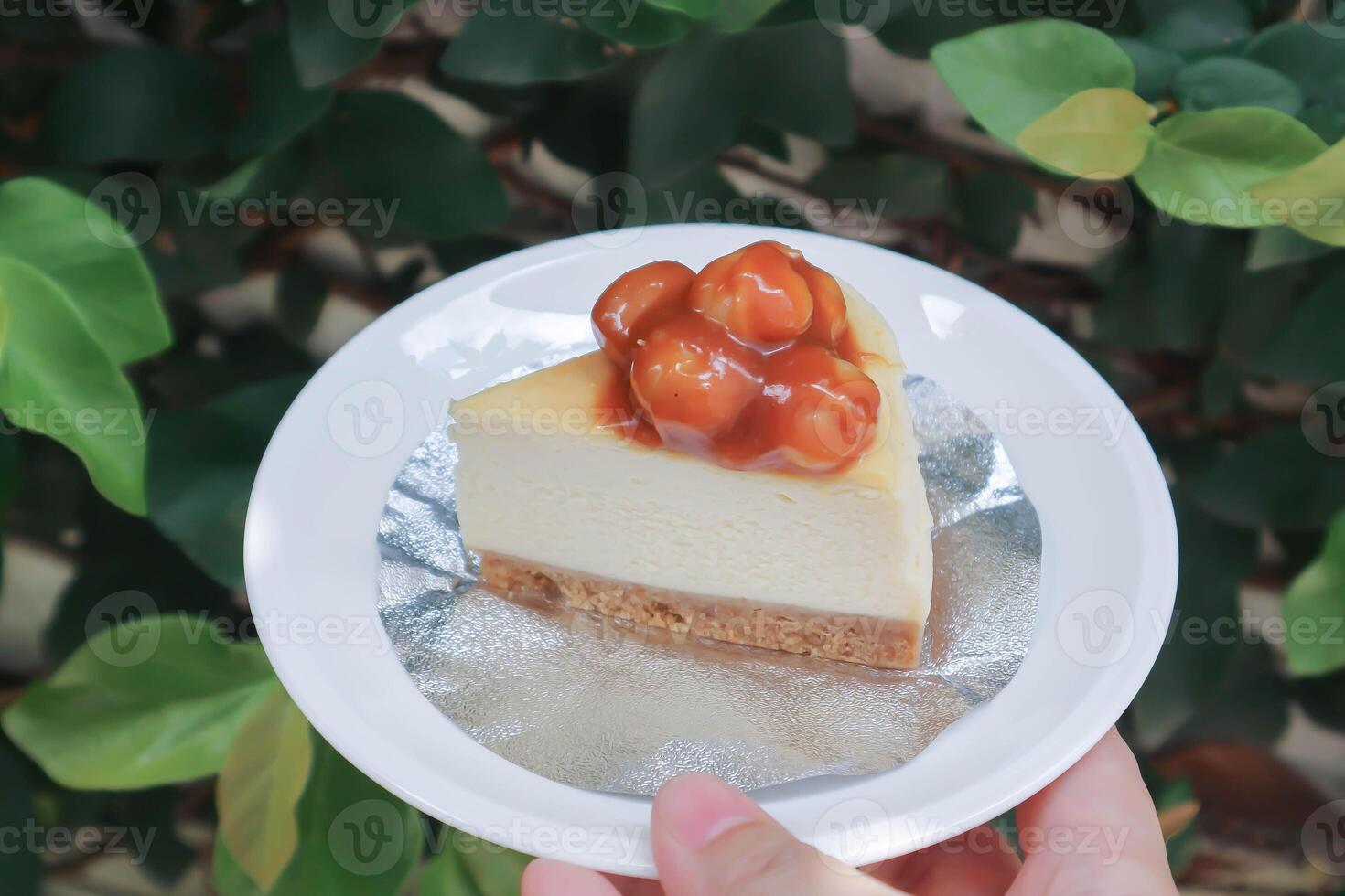 caramel macadamia cheesecake or nut cake,macadamia cake or Macadamia Nut cake or caramel cake photo