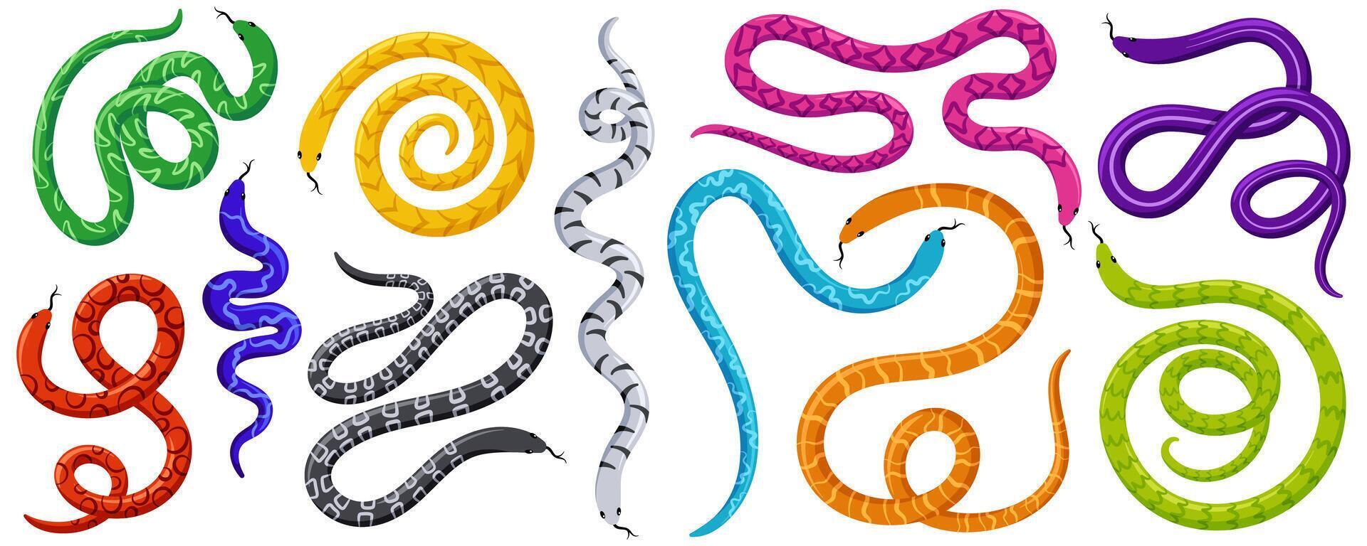 Set of exotic tropical snakes in different poses. Cartoon flat illustrations vector
