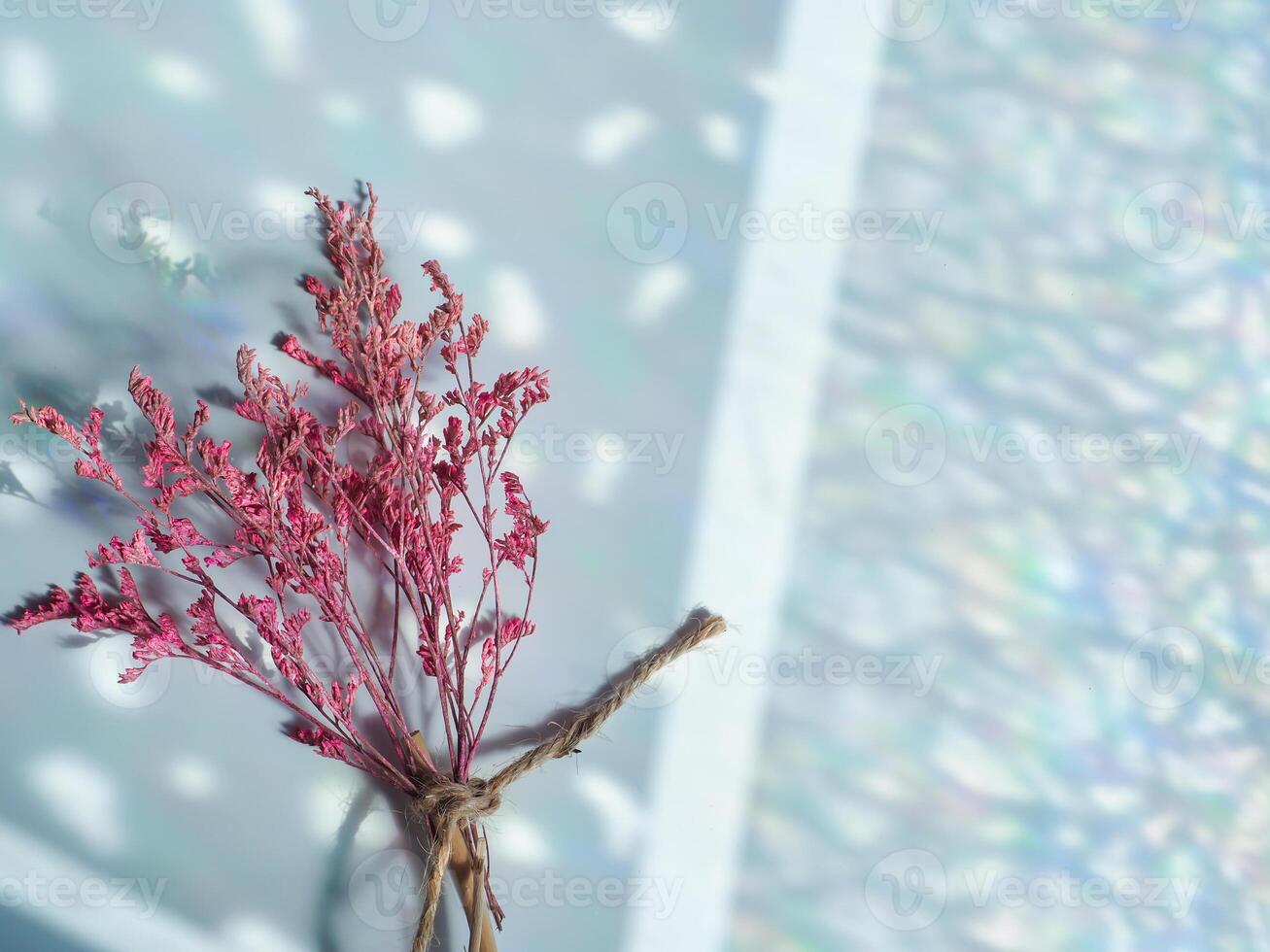 Pink dried flowers on reflection from window for minimalist background photo