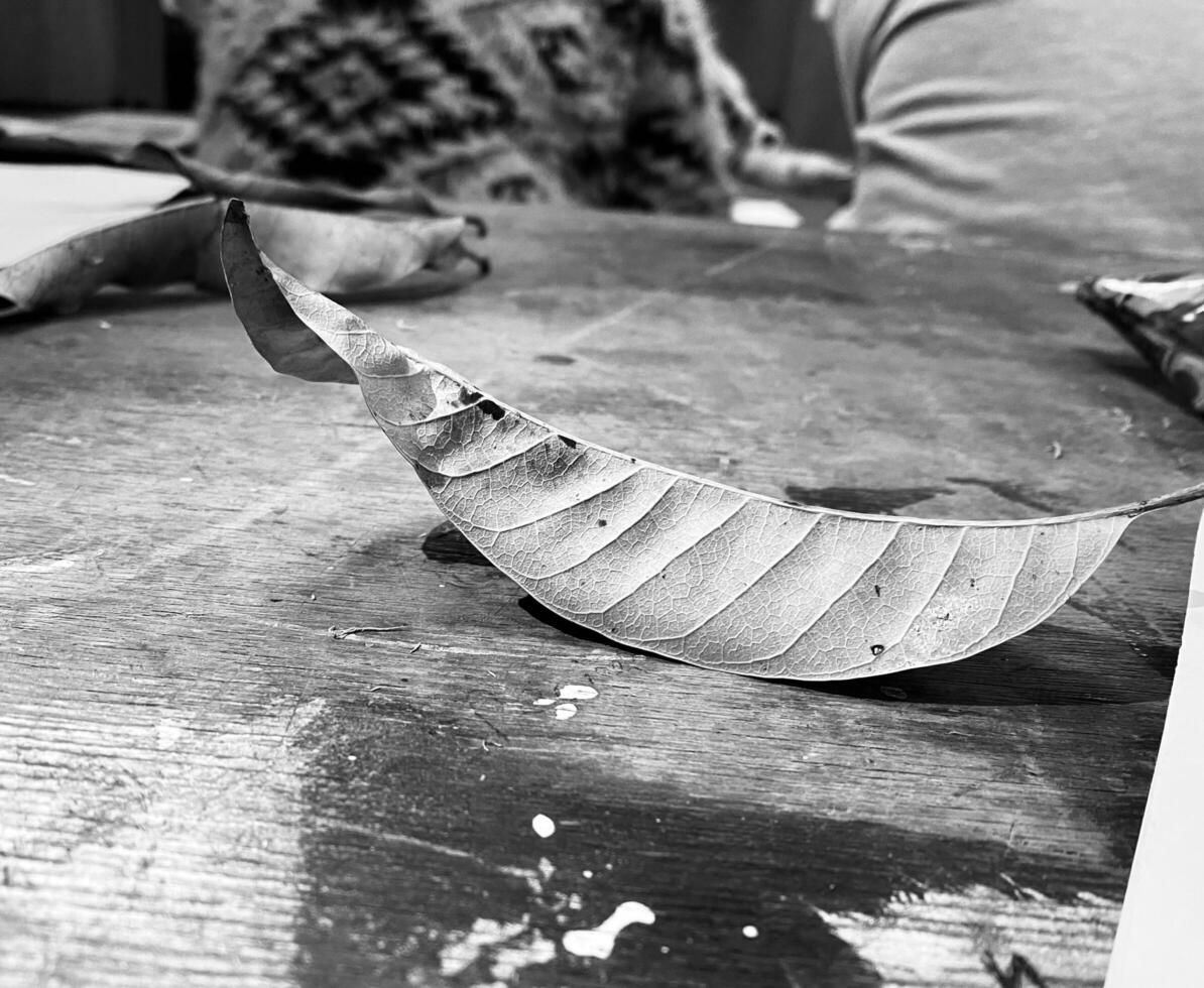 a leaf on a table with a dramatic effect photo