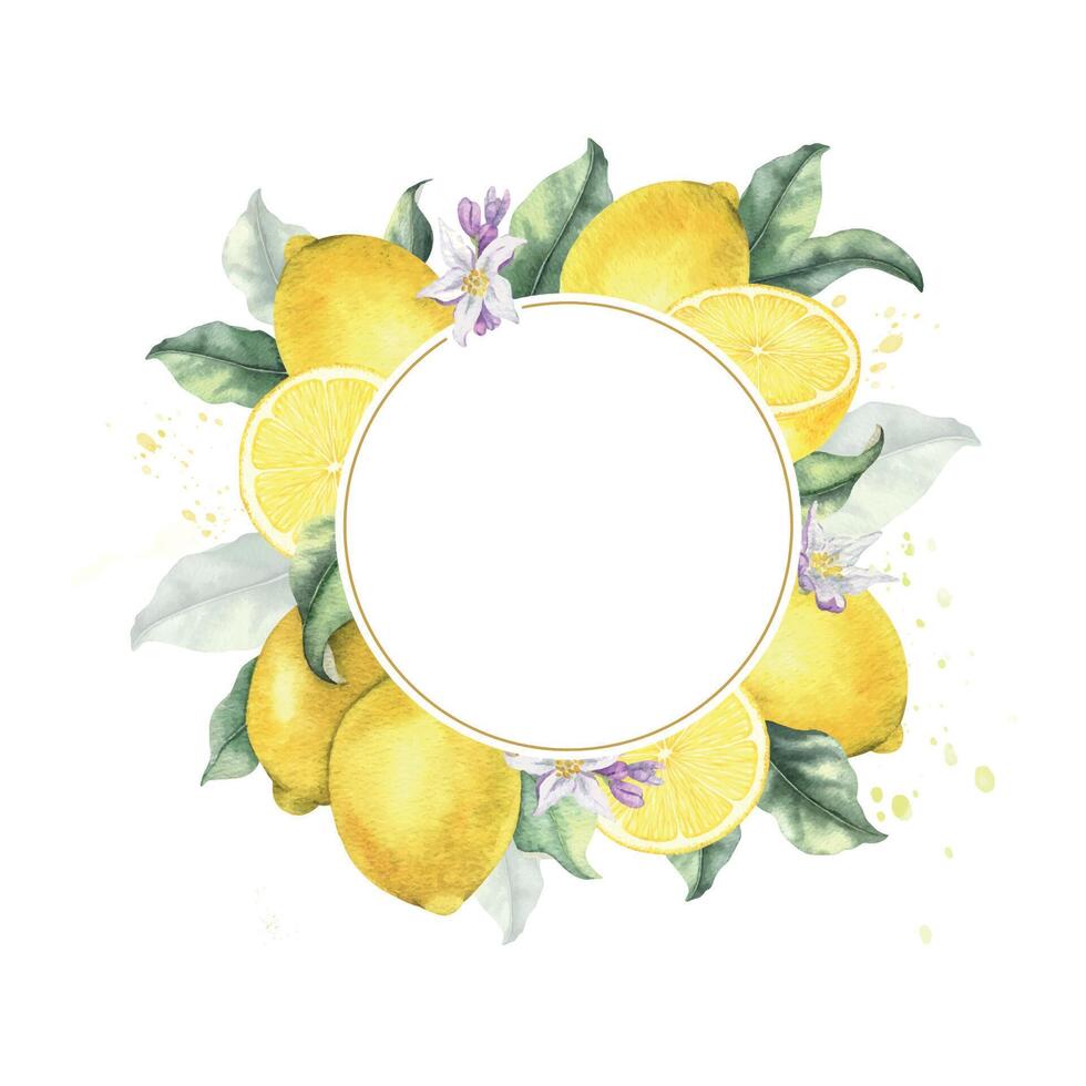Lemon fruits, flowers and leaves. Isolated hand drawn watercolor frame. Wreath of Tropical citrus fruit. Template for menu, package, cosmetic, textile, cards vector