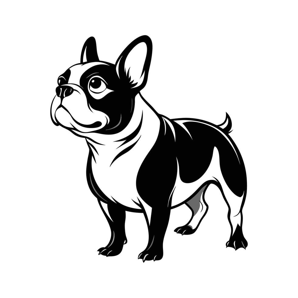 french bulldog design vector