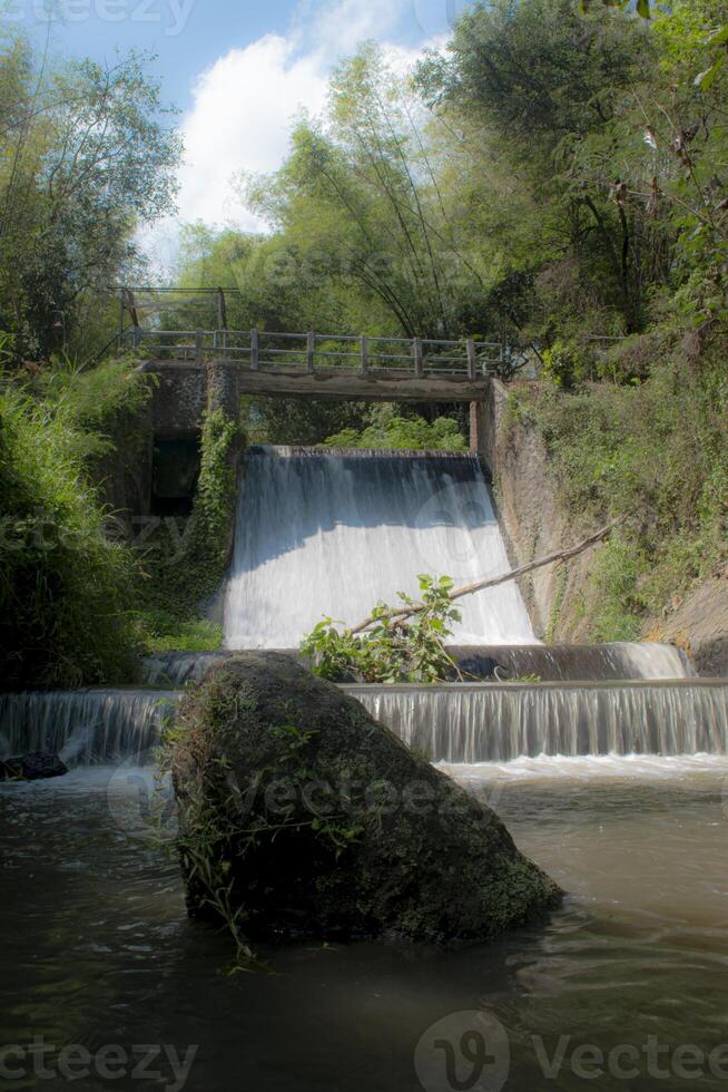 A cascade of water falling from a small dam with bamboo grove in the background. photo