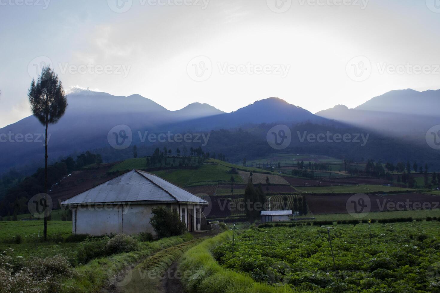 A valley of agricultural field with a farm house. The shimmering sun is about to rise behind the mountains. Tranquil scene of a countryside in Batu, East Java, Indonesia. photo