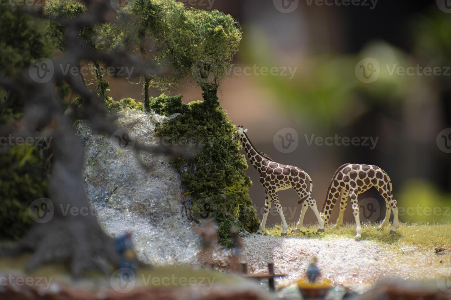 Toy photography concept with a zoo theme with two giraffes grazing. photo