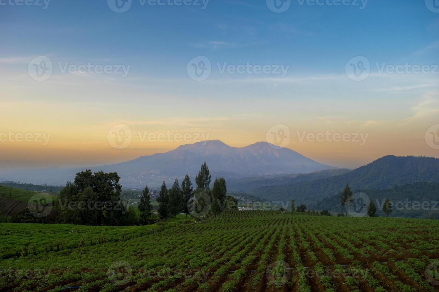 Morning atmosphere in a vegetable plantation with a backdrop of mountains and colorful sky. A peaceful atmosphere in the countryside in East Java, Indonesia. photo