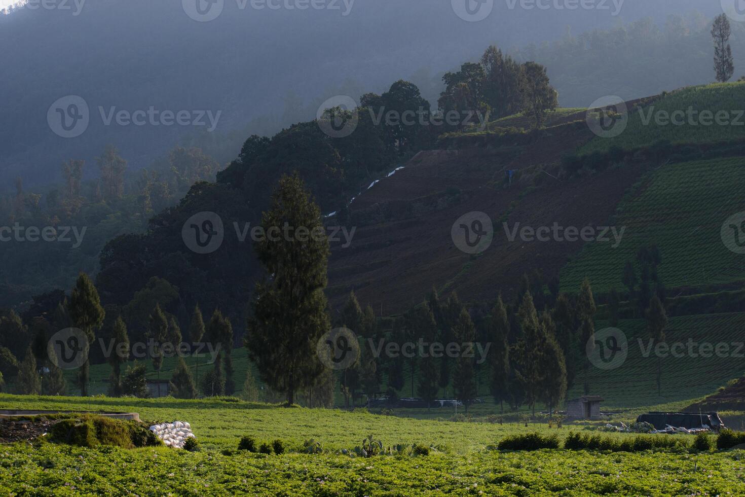 A fertile valley with vegetable plantations at the foot of a hill. A peaceful setting in the countryside of East Java, Indonesia. photo