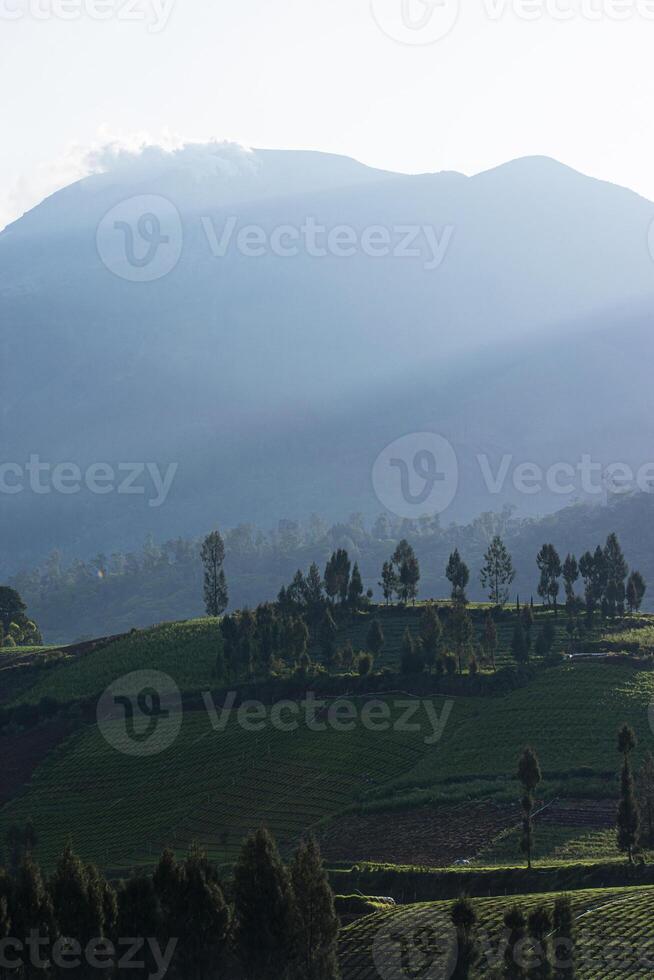 Beautiful view of a hill with misty mountains in the background. A peaceful atmosphere in the countryside in the morning. photo