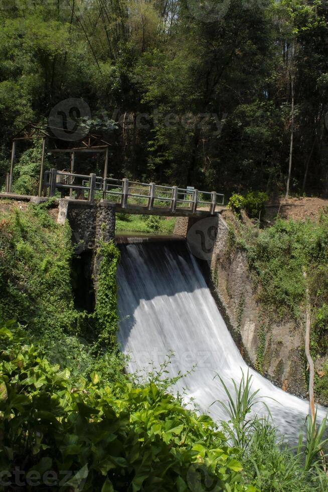 A dam for irrigating rice fields with a bridge near the forest photo