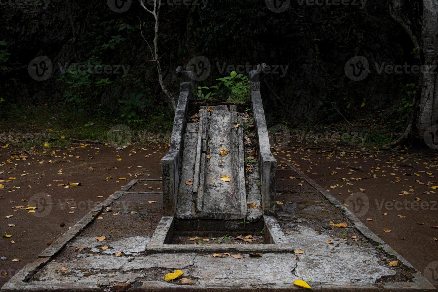 A spooky abandoned slide in a playground near the woods photo