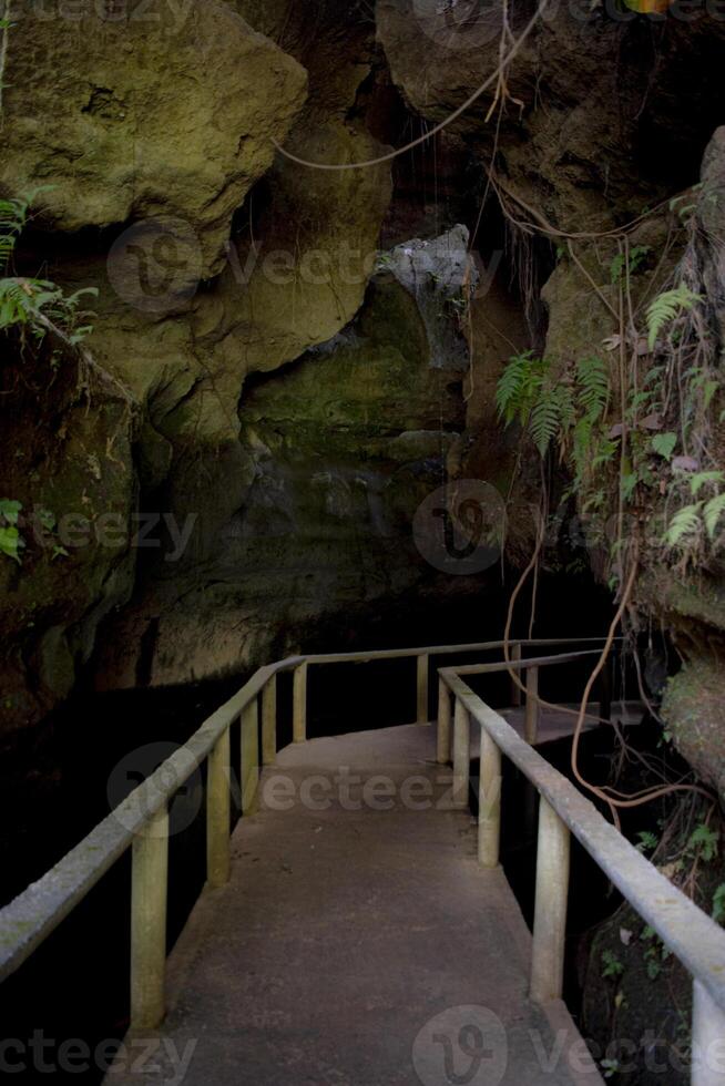 A pathway bridge in the natural cave near Kediri, East Java, Indonesia. photo