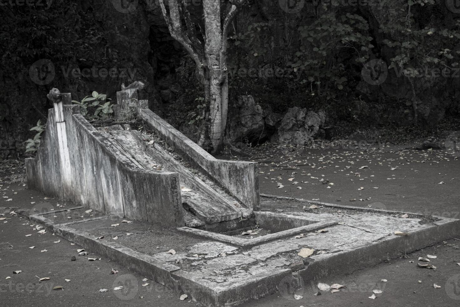 An abandoned and scary slide in a playground near the woods photo