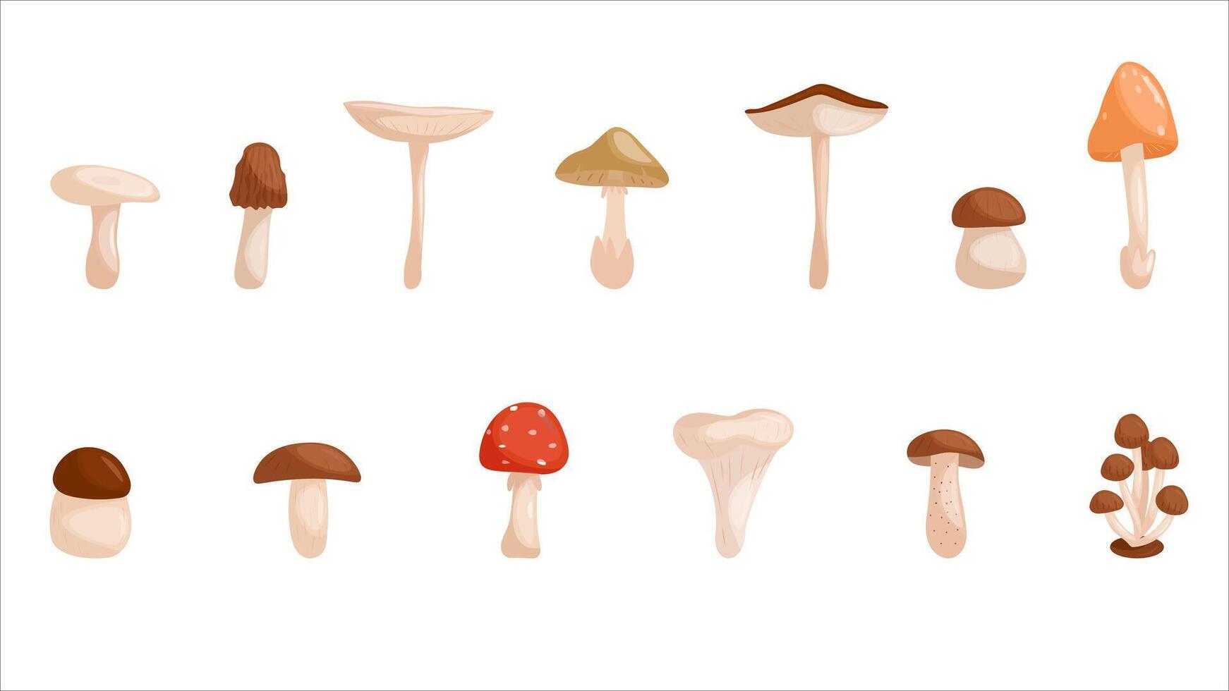 Cartoon mushrooms. Mushrooms isolated illustration set. Forest wild mushrooms types. Organic porcini and chanterelle, poisonous fungus vector