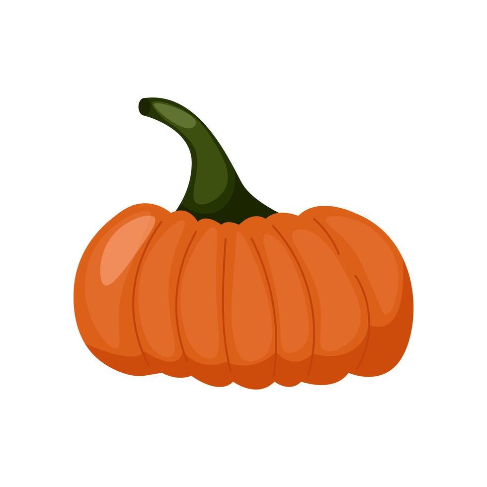 Fall Pumpkin,Orange pumpkin on a white background. Autumn Harvest Icon Symbol Illustration Background vector