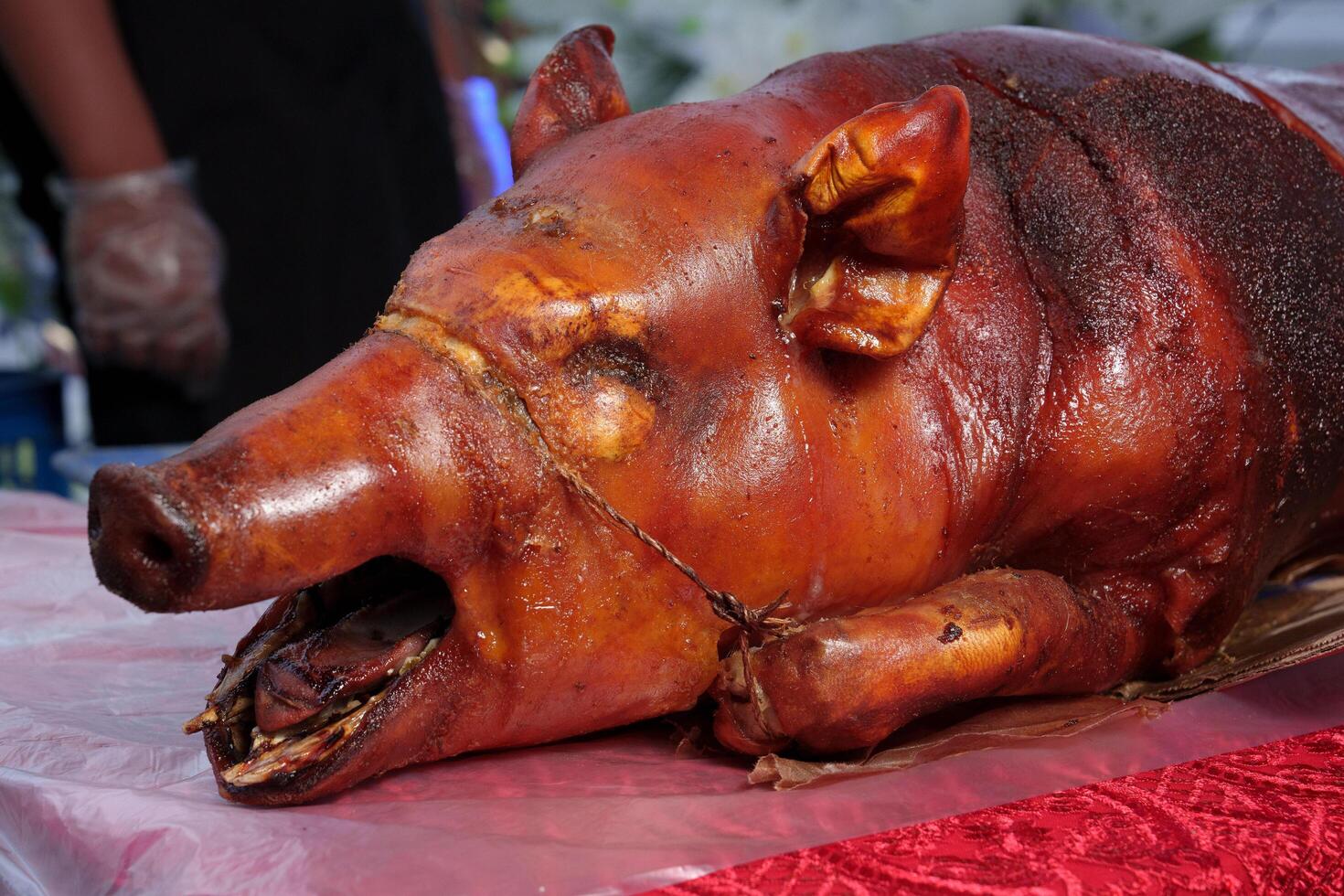 pork lechon on table photo