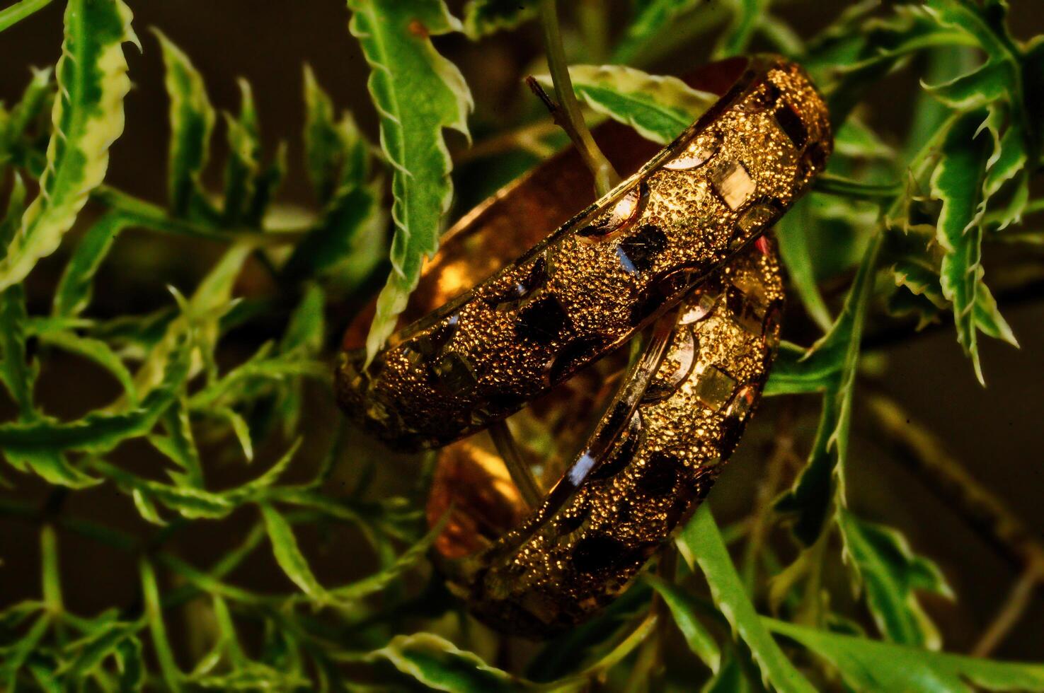 Golden bangles on a tree branch photo