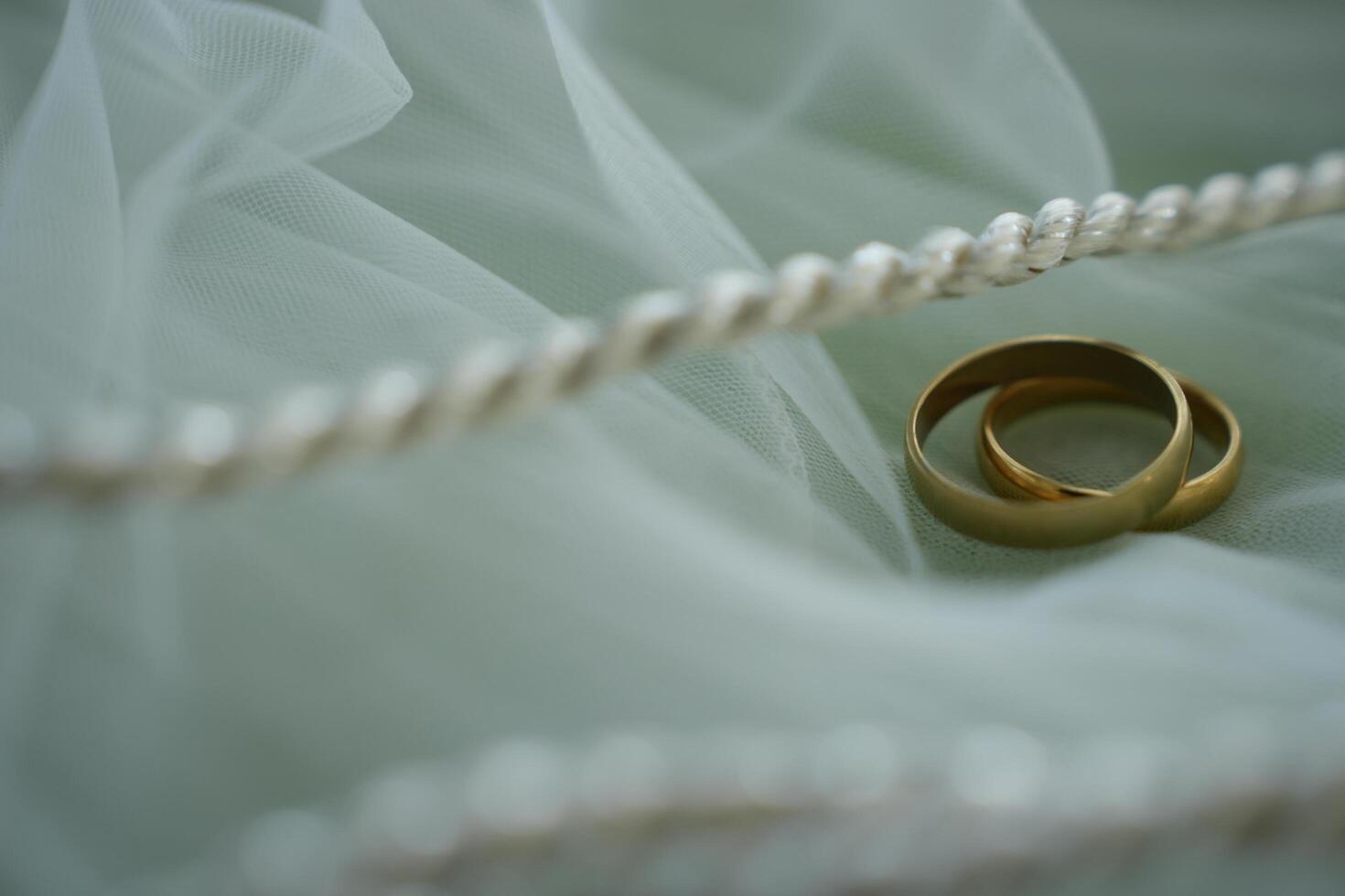 Two wedding rings on a white background photo