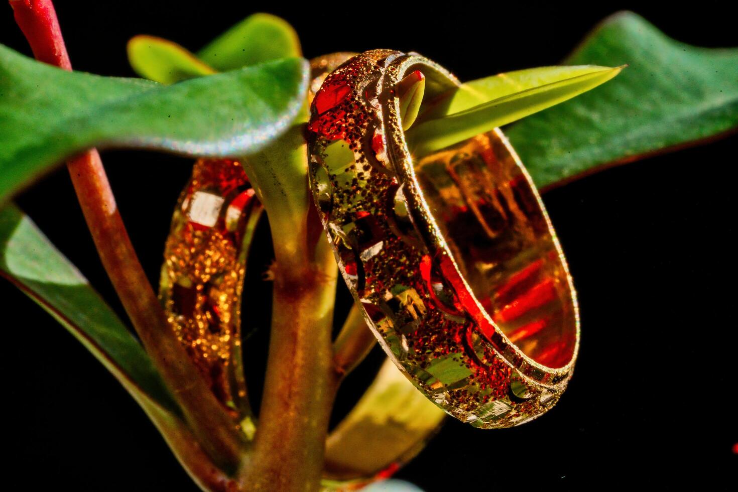 A pair of gold rings sitting on a plant photo