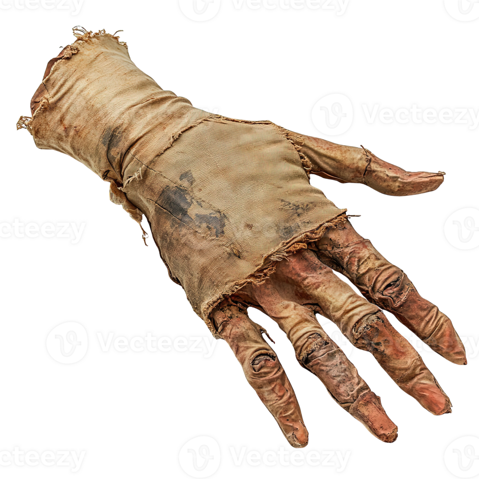 Decayed and worn cloth-wrapped hand, revealing aged texture isolated png