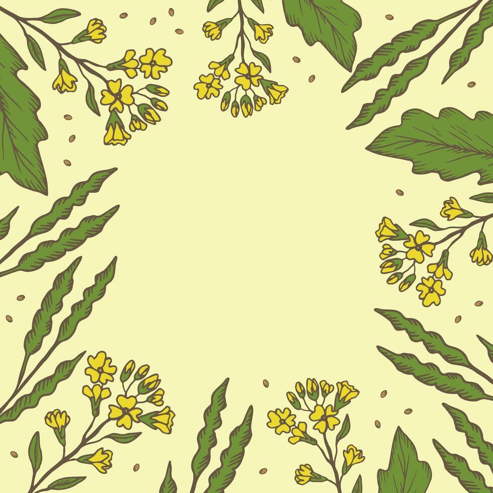 Card with Mustard plants and seed for text. Hand drawn engraved banner with mustard flowers, branches, seeds, leaves. Food ingredient, oil, organic nutrition. Design template for paper, label vector