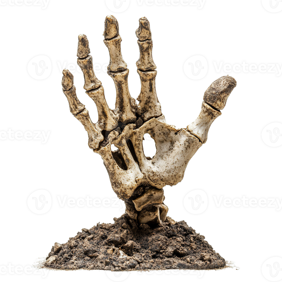 Ancient bony hand rising from dirt and soil isolated on transparent background png