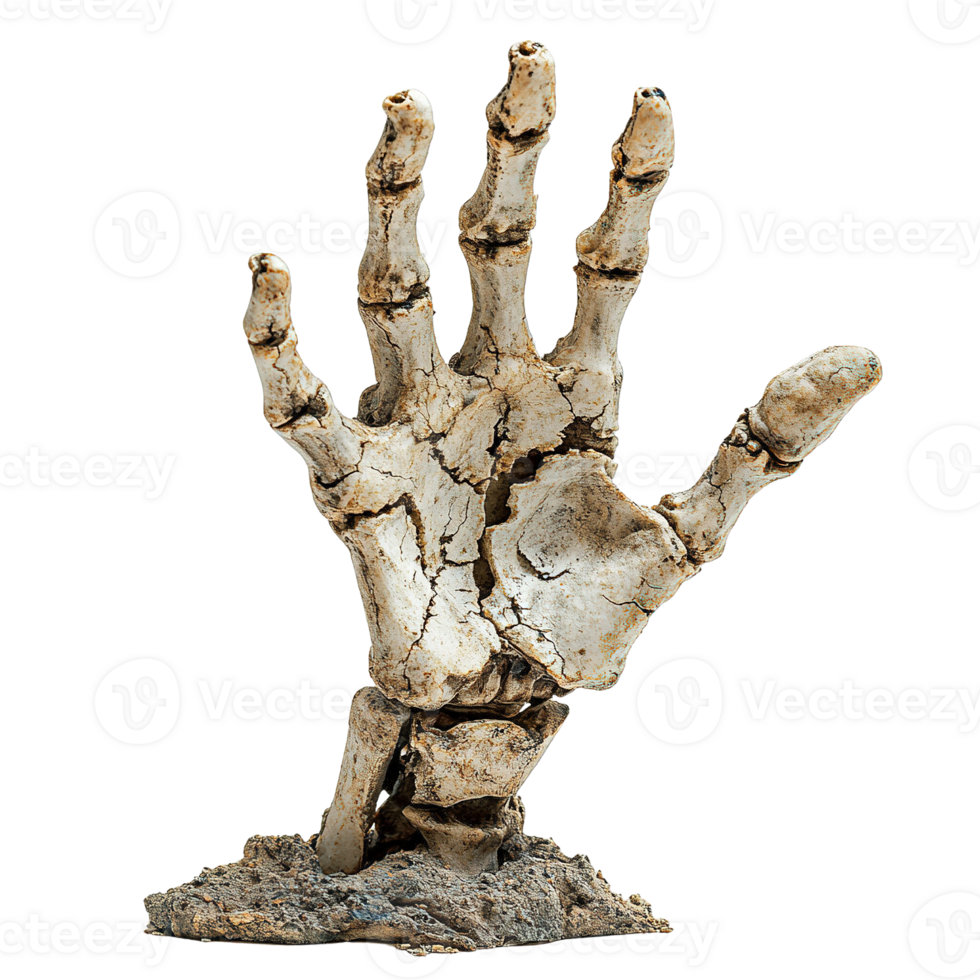 Weathered bone hand protruding from ground with soil and cracks isolated png