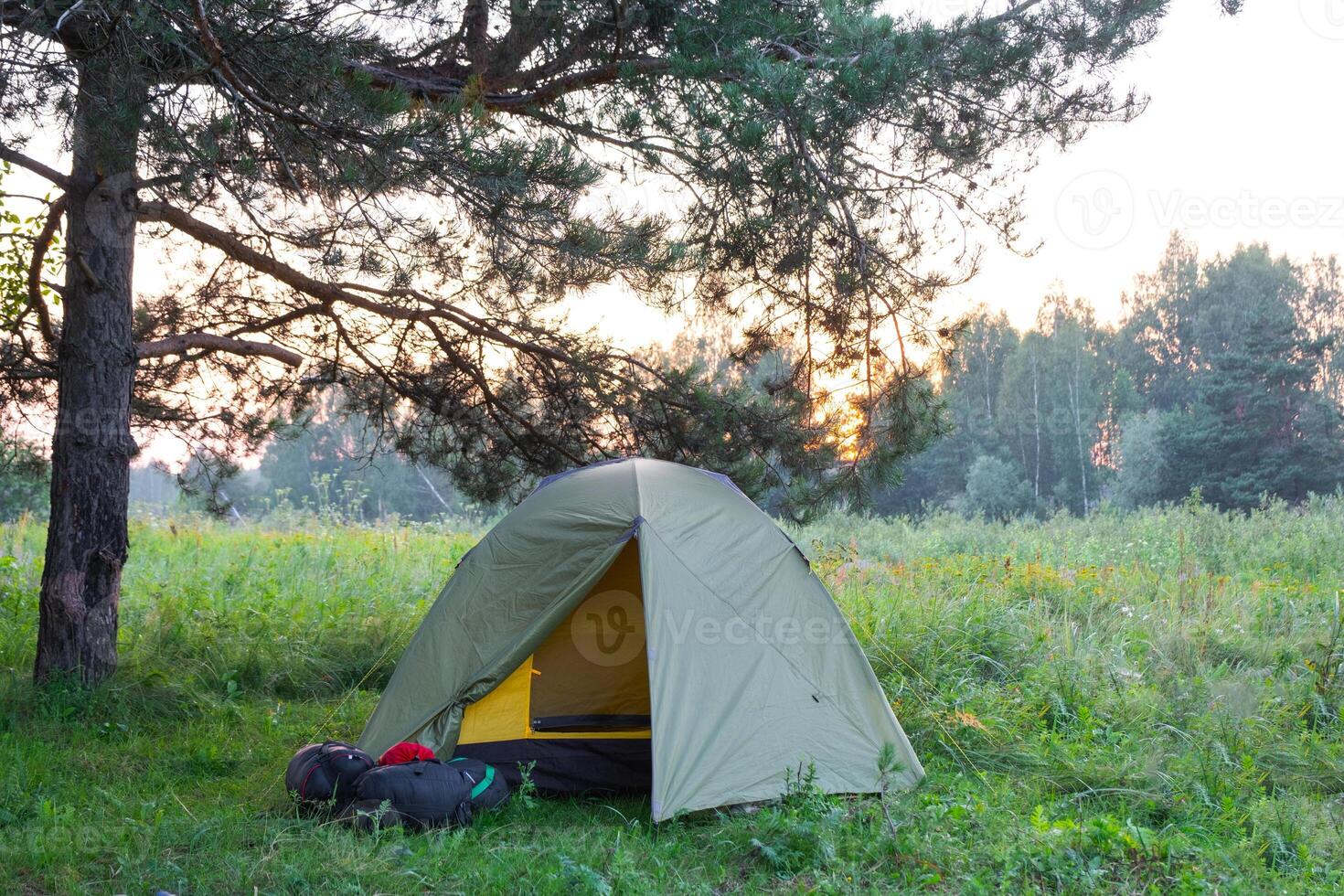 Installed tourist tent in a camping in nature in the forest. Domestic tourism, active summer holidays, family adventures. Ecotourism, sport, hike. Copy space, mock up photo