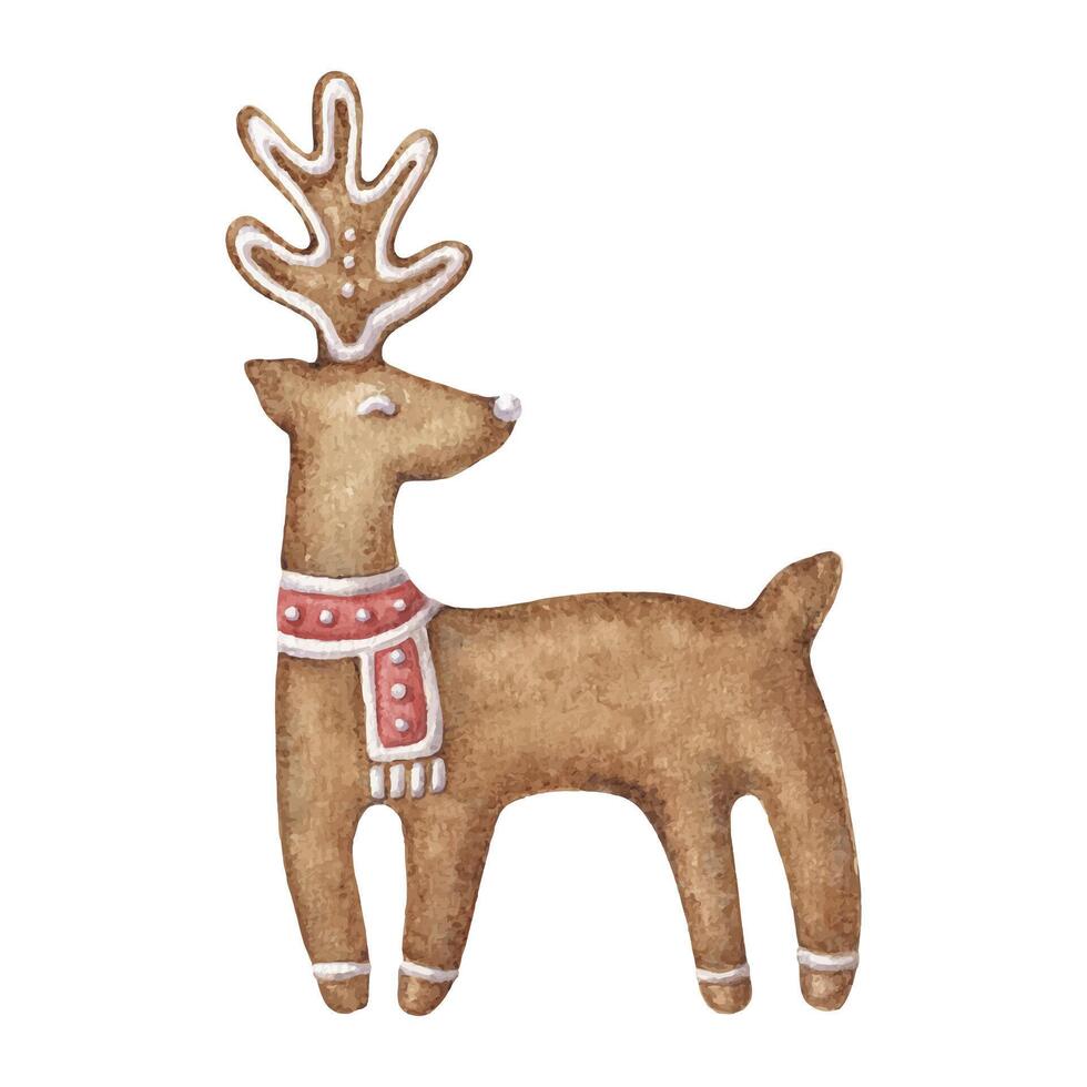 Gingerbread in a reindeer shape wearing a scarf. Hand drawn watercolor winter Christmas illustration of decorated cookie. Isolated drawing for Xmas graphic and tradition greeting card designs. vector
