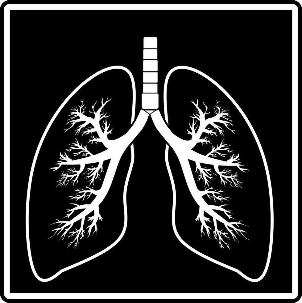 Rib pulmonology MRI, X ray of thoracic spine, thorax x ray check up, fluorography image. Realistic illustration vector