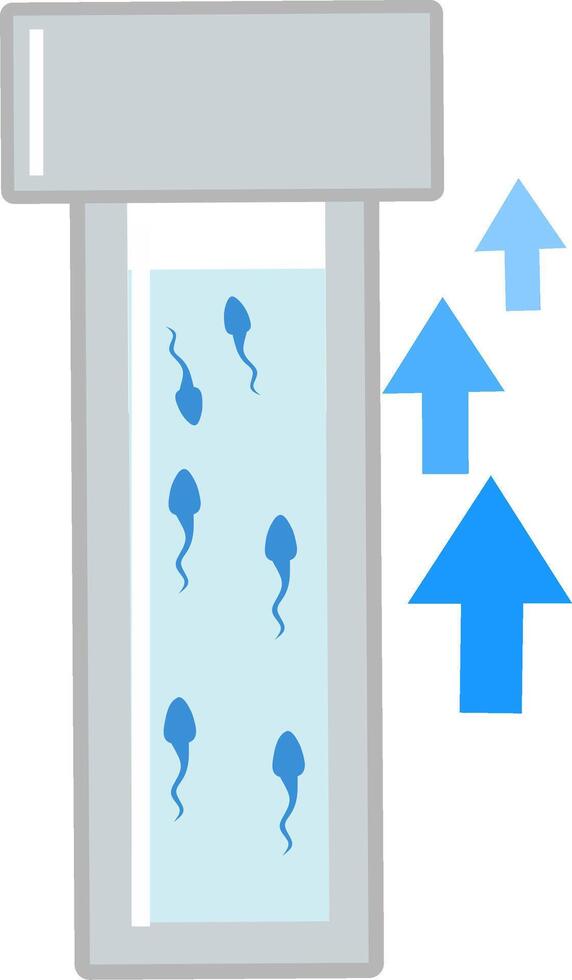 Healthy great good sperm analysis count for ivf procedure conceptual illustration of the mciroscope and sperm cells. Fit to show step by step of ivf procedure vector