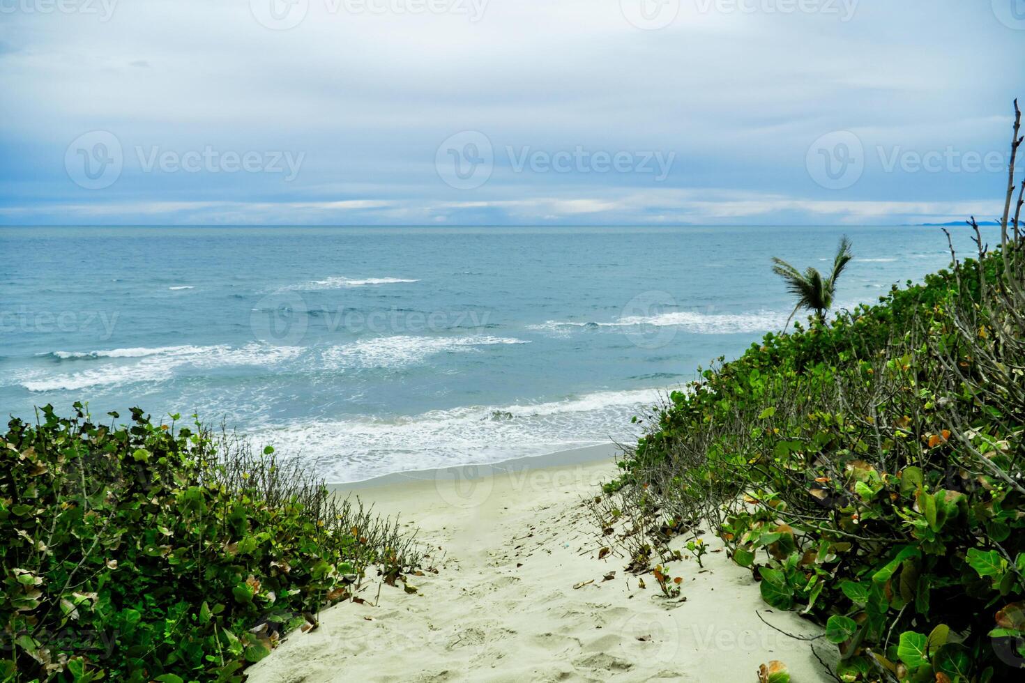 Beaches of Santa Rosa de Aguan with three-meter dunes. Caribbean tourism in Central America. photo